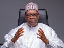 Ebola Index Case in Stable Condition Before Evacuation Abroad, Says Pate – THISDAYLIVE
