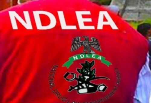NDLEA arrests 1,860 suspects, seizes 5.4 tonnes of illicit drugs in Kano