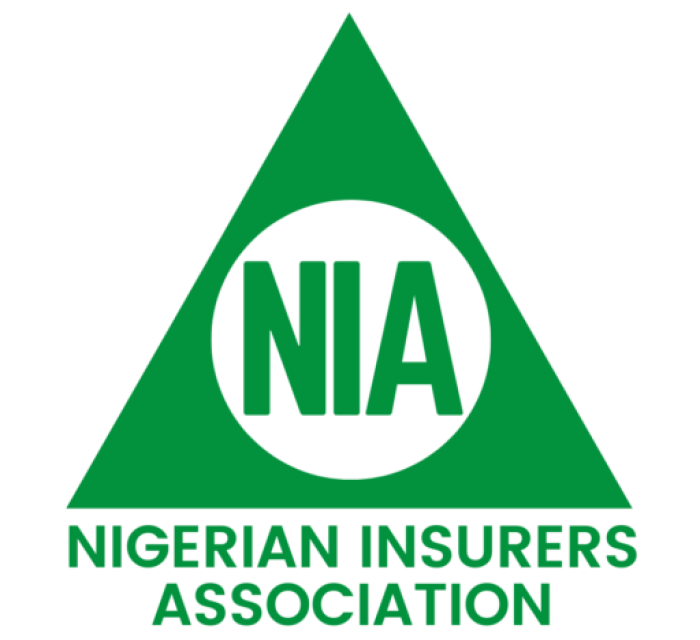 NIA Commiserates With Edo State Govt, Victims of Tanker Explosion – THISDAYLIVE