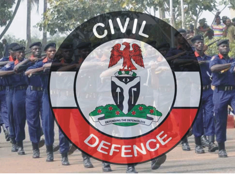 Suspended Niger NSCDC Commandant Admits ‘Costly Mistake’, Apologises – THISDAYLIVE
