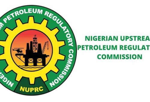 10 New Regulations Under Development, 19 Gazetted – THISDAYLIVE