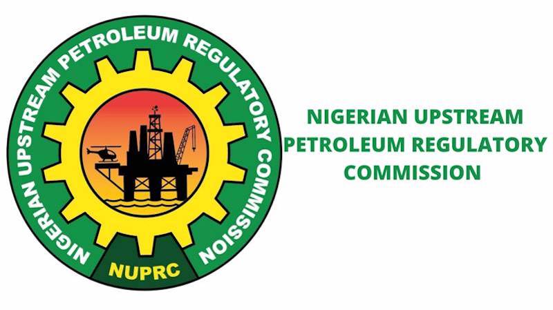 10 New Regulations Under Development, 19 Gazetted – THISDAYLIVE