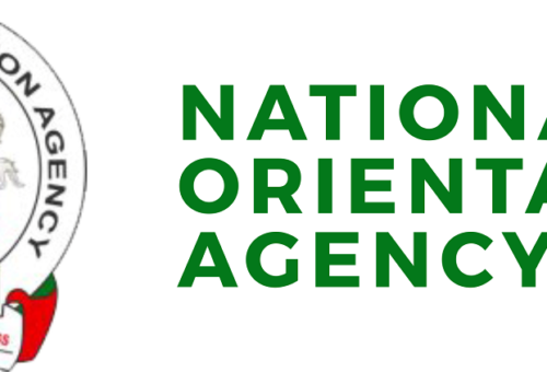 Come out, your vote will count, NOA tells Nigerians – Daily Trust