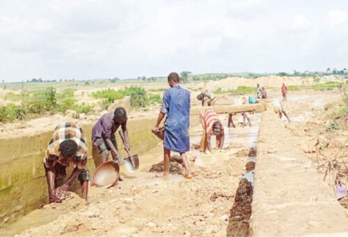 Committee demands sack, prosecution of NSCDC commandant, others – Daily Trust