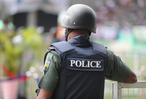 Police arrest suspected drug dealers in Katsina – Daily Trust