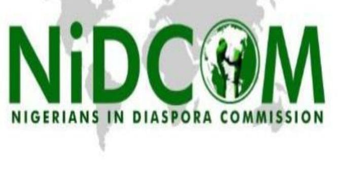 Global diaspora accomplishments align with Tinubu’s 4Ds agenda – Daily Trust