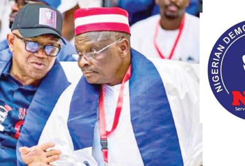 We’re not working for APC – Kwankwaso – Daily Trust