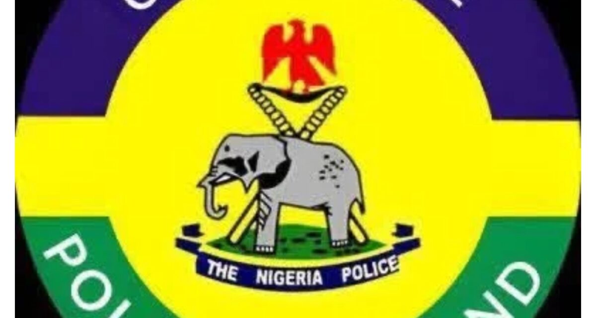 Ogun Police secure conviction of man for counterfeiting Coleman cables