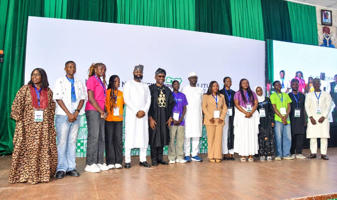 How Grassroots Innovation Challenge Became Part of Nigeria’s Industrial Policy – THISDAYLIVE
