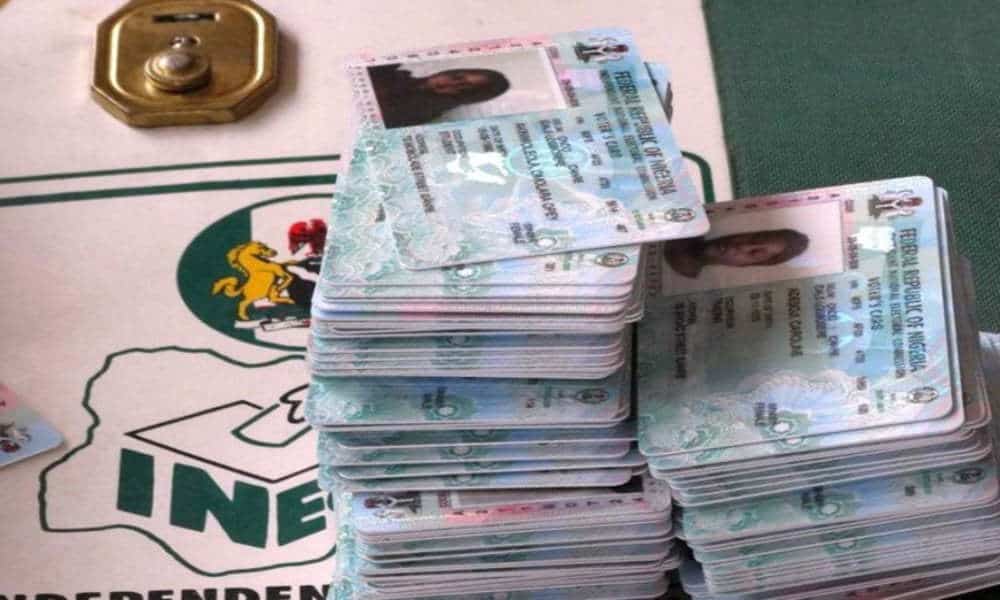 PVC collection in Kano impressive, says INEC – Daily Trust
