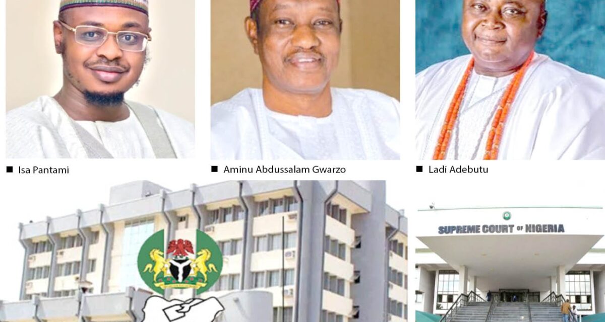 Pantami, Gwarzo, Adebutu, others remain excluded – INEC – Daily Trust