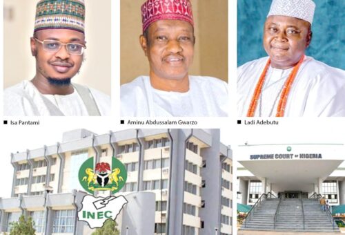 Pantami, Gwarzo, Adebutu, others remain excluded – INEC – Daily Trust