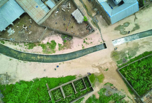 Beyond the Rains:  Kano Farmers Weigh the Promise of Reliable Water – THISDAYLIVE
