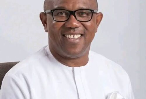 IN PRAISE OF PETER OBI  – THISDAYLIVE