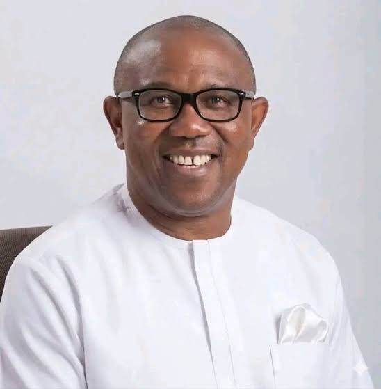 IN PRAISE OF PETER OBI  – THISDAYLIVE