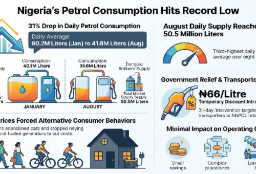 Petrol consumption hits record low amid rising prices – Daily Trust