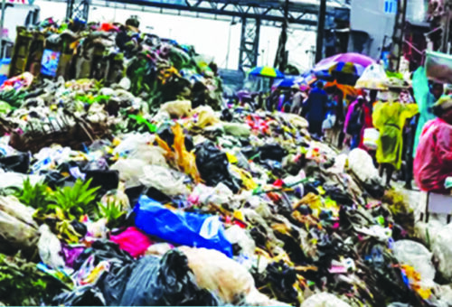 A Megacity Drowning in Refuse – THISDAYLIVE