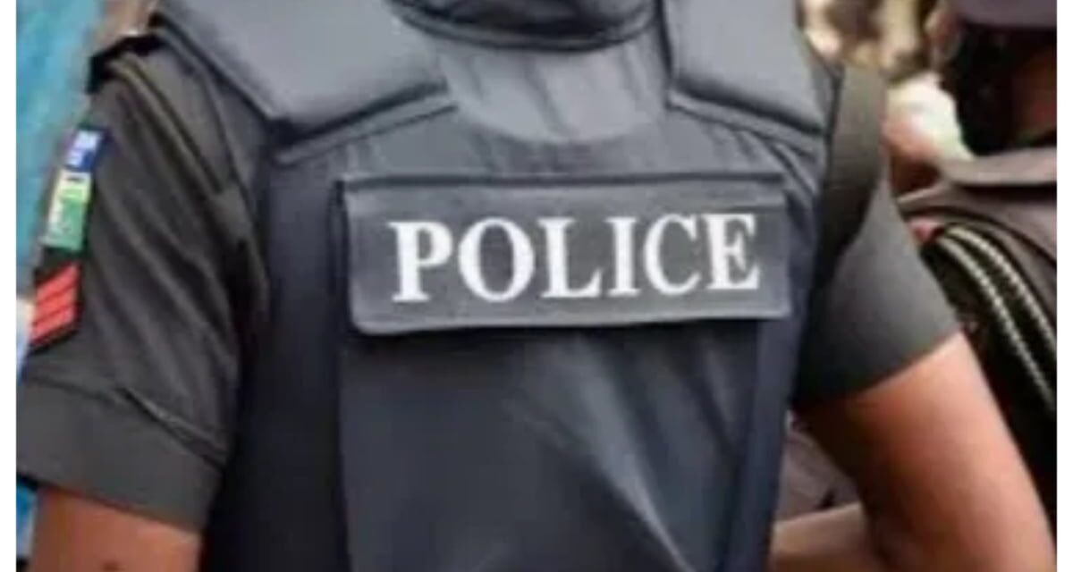 Bauchi police arrest man over alleged rape of 7-year-old girl in Dass