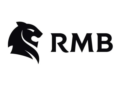 RMB Nigeria Wins Merchant Bank of the Year Award – THISDAYLIVE