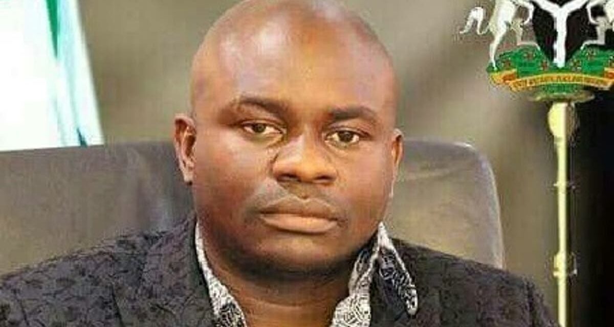 INTERVIEW: 2023 Presidency: Choice of candidate will mar PDP – Reps member, Farah Dagogo