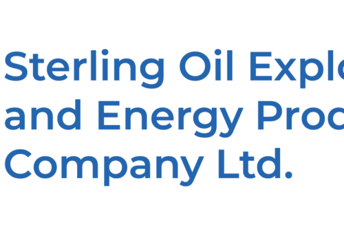 SEEPCO Wins Energy Award for Navy Security Vessels Project – THISDAYLIVE