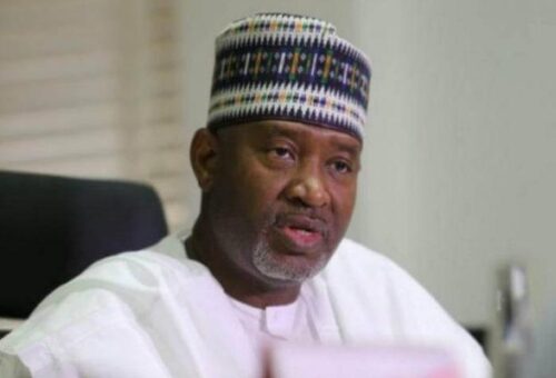 Ex-ministers Dangiwa, Hadi Sirika to head Tinubu/Dikko campaign council – Daily Trust