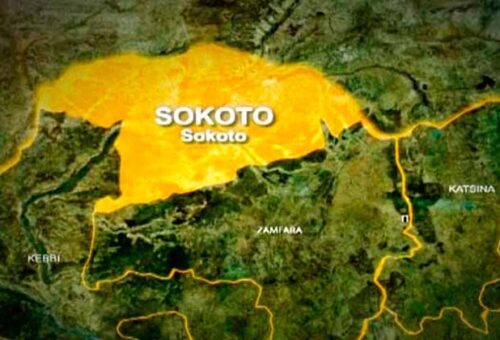 Troops Foil Ambush In Zamfara, Rescue 2 Herders, Recover 520 Livestock In Sokoto