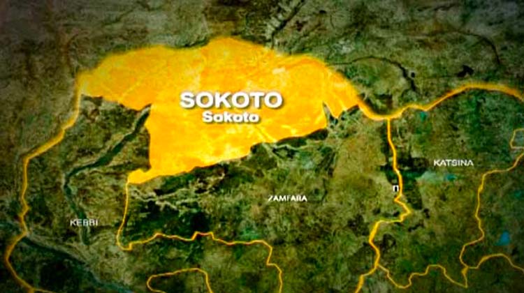 Troops Foil Ambush In Zamfara, Rescue 2 Herders, Recover 520 Livestock In Sokoto