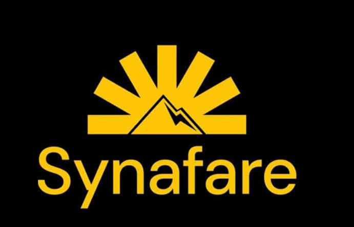 Firm Empowers 100 SMEs to Boost Solar Infrastructure  – THISDAYLIVE