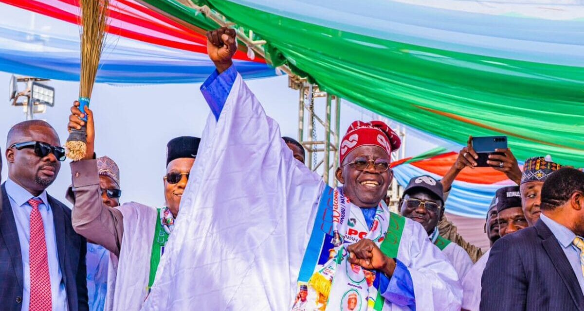 Yari’s Son Unveils Support Group for Tinubu – Daily Trust