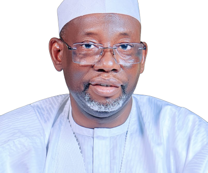 How communities can end banditry – Gov Namadi – Daily Trust