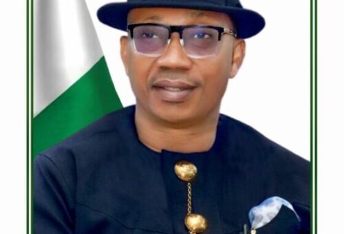 NESREA Honours Lagos Chief For Saving Endangered Sea Turtle