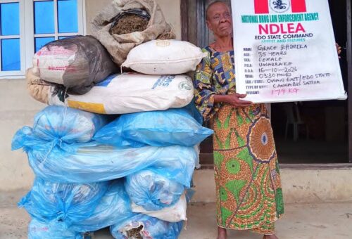 NDLEA seizes N7bn tramadol at Lagos port, arrests 85-year-old grandmother