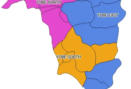 Yobe Senatorial Ticket: Court Reserves Judgment In Suit Seeking To Sack Senator