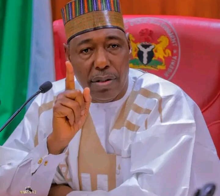 Scavengers stole ₦3bn power line wires in Borno – Zulum