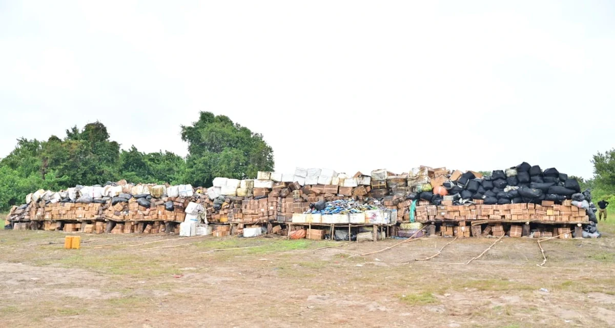 NDLEA intercepts N7.1 billion drugs in Lagos, arrests 85-year-old woman in Edo