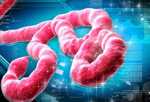 UPDATED: Nigeria confirms Ebola case in Abuja, begins contact tracing