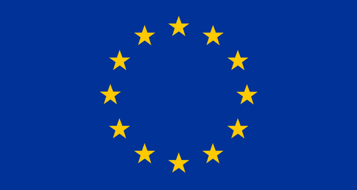 Votes sold for N50,000, says EU observer group – Daily Trust