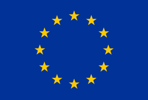 Votes sold for N50,000, says EU observer group – Daily Trust
