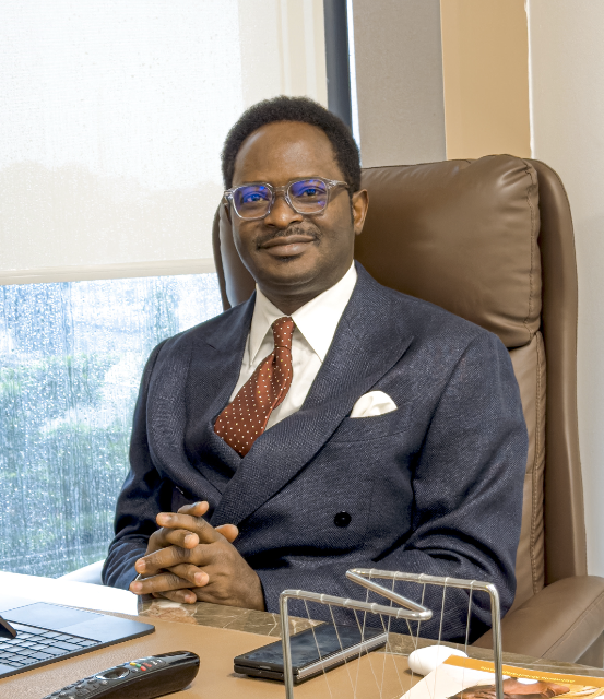 Tope Adebayo’s Blueprint for Land of Opportunity – THISDAYLIVE