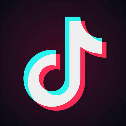 TikTok Moves to Resolve Access Restriction in Northern Nigeria – THISDAYLIVE
