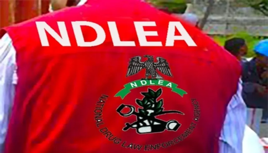 NDLEA Arrests 1,860 suspects, seizes 5.4 tonnes of drugs – Daily Trust