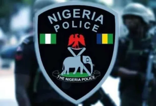 Retired police officers, wives protest over pension bill – Daily Trust