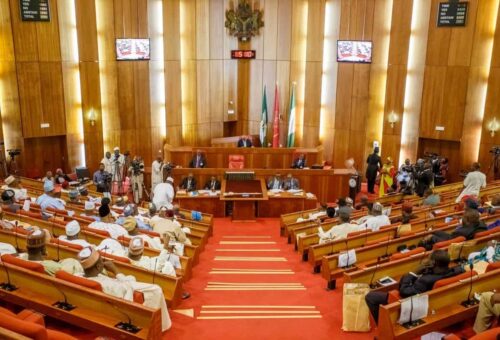 Senate advances bill to decriminalise attempted suicide 