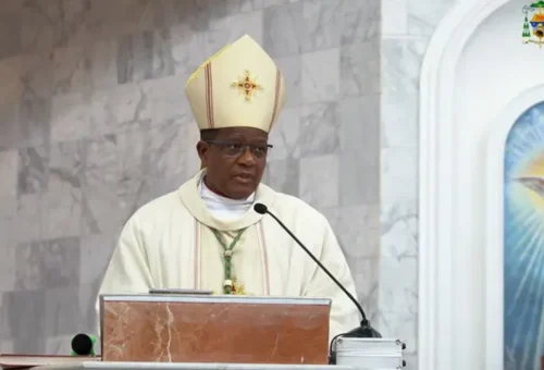 ‘Being Nigerian Abroad Now Complicates Your Life’ — Catholic Bishop Reveals