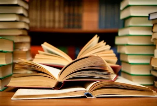 Korean Literature Sparks New Reading Conversations In Abuja
