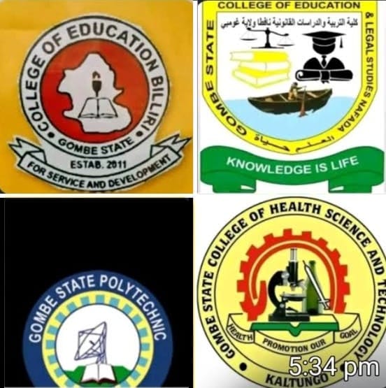 Gombe Tertiary Institutions Begin Indefinite Strike – Daily Trust