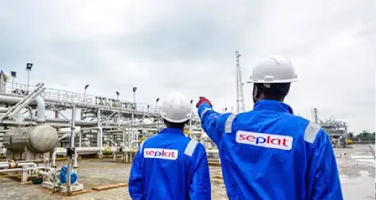 Seplat discovers 157 billion cubic feet of gas, 19 million barrels of oil in Nigeria