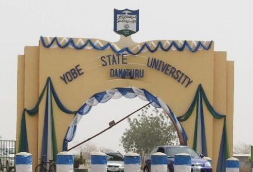 Yobe Varsity non-teaching staff threaten strike – Daily Trust